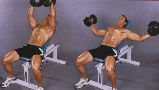 Тренировки на отстающие мышцы