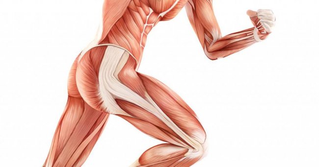 Упражнения на ягодичные мышцы