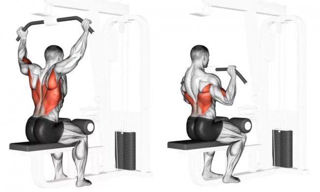 Упражнения для тренировки спины