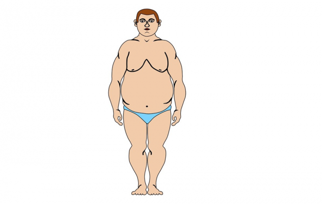 Типы мужского телосложения